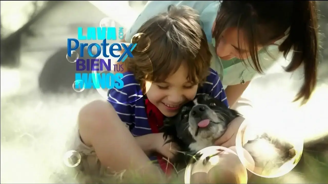 Protex Publicidad: Historia, Productos y Estrategia de Marketing - Qué ofrece Protex protex publicidad - Qué ofrece Protex