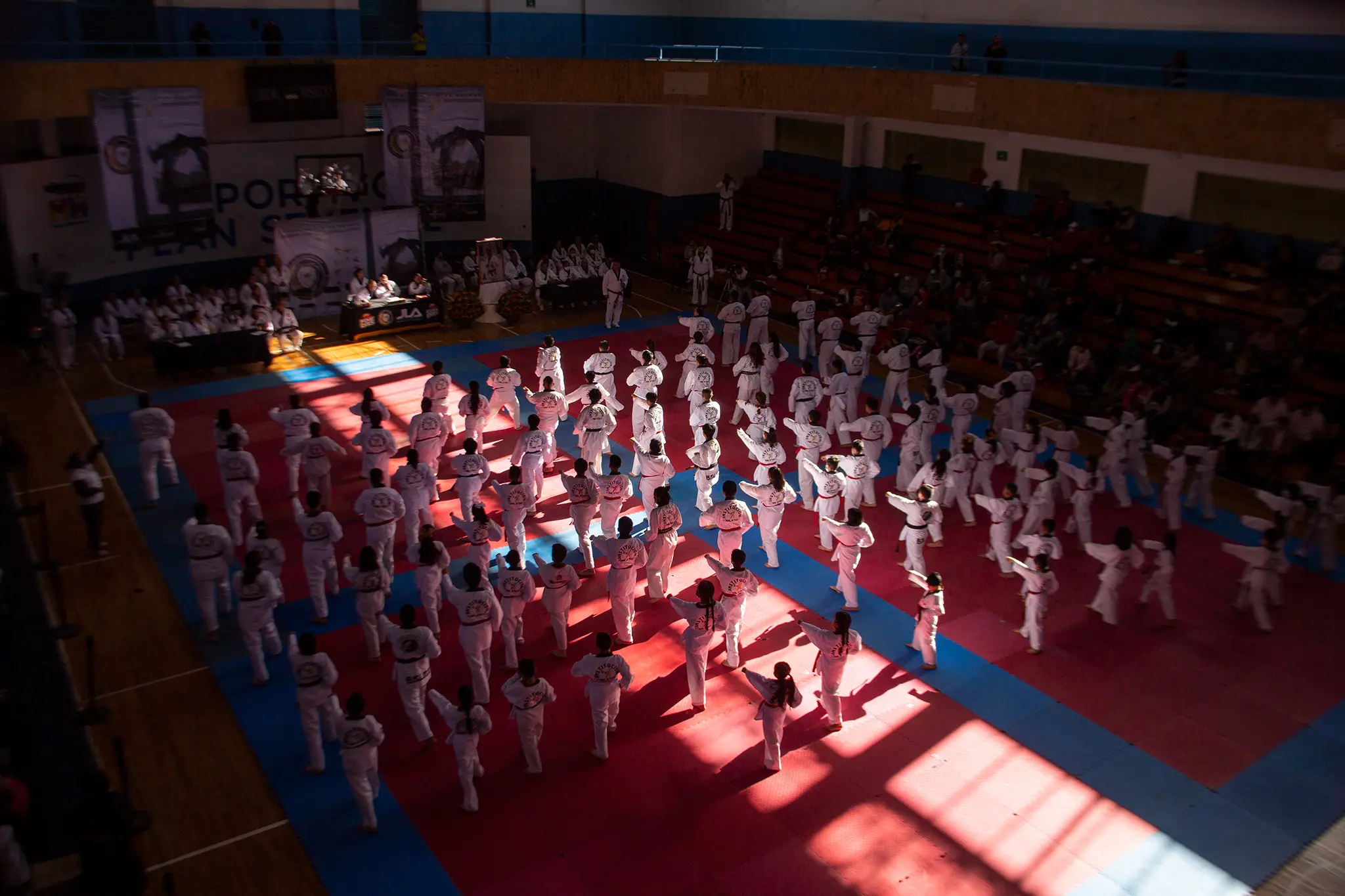 Publicidad de Taekwondo: Alcanza tu máximo potencial con el arte marcial coreano - Qué palabras se dicen en taekwondo publicidad de taekwondo - Qué palabras se dicen en taekwondo