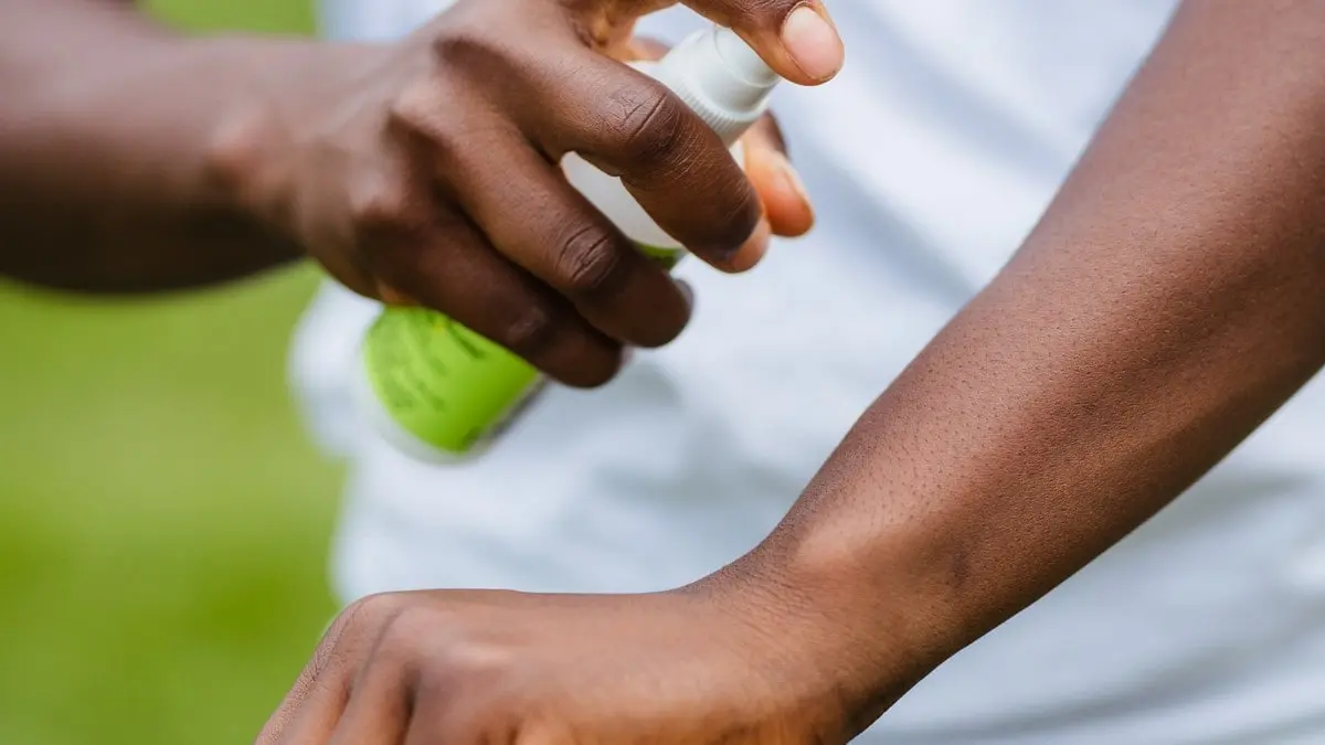 Publicidad con Volantes: La Guía Definitiva para una Campaña Exitosa - Qué podemos hacer para que no haya tantos mosquitos publicidad de mosquitos - Qué podemos hacer para que no haya tantos mosquitos