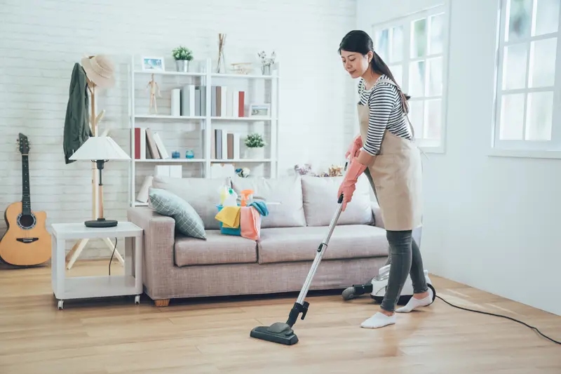 publicidad mujer ama de casa - Qué producto o servicio ofrece una ama de casa