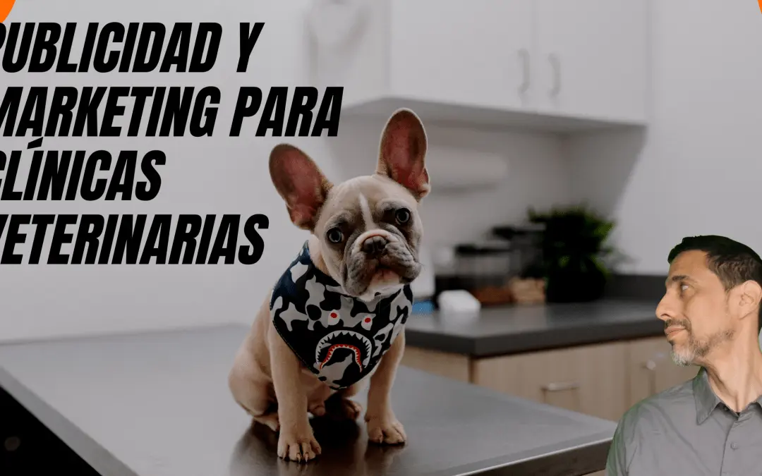publicidad clinica veterinaria - Qué puede ofrecer una veterinaria
