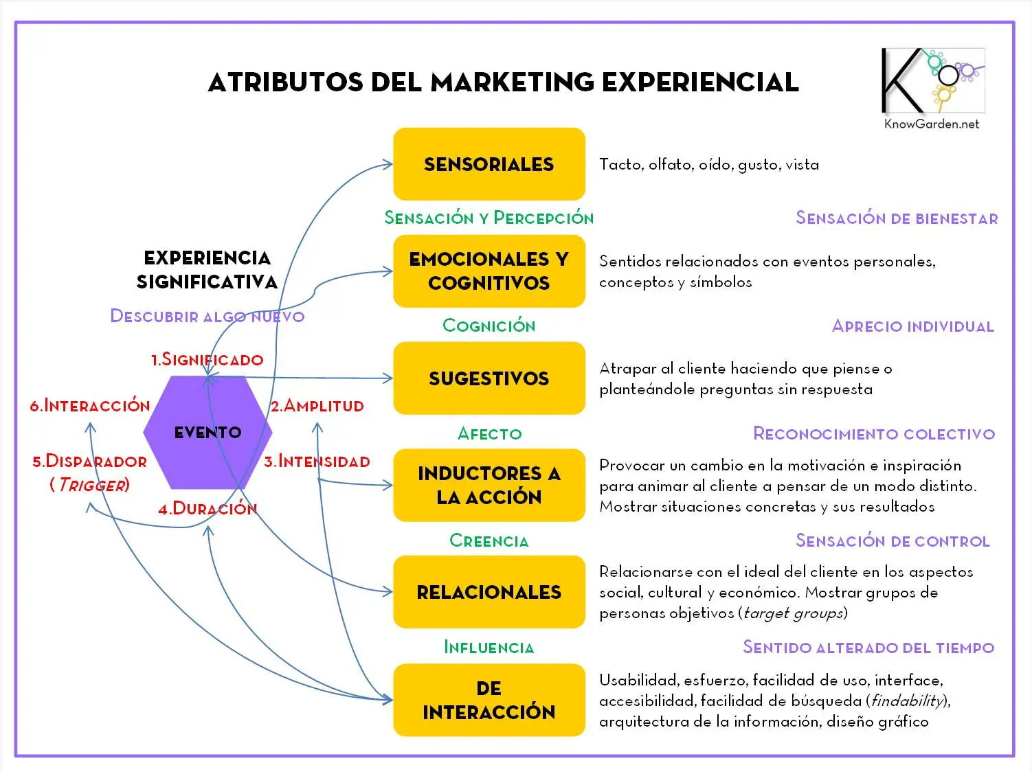 Marketing de Experiencias: Definición y Claves para el Éxito - Qué se considera experiencia en marketing marketing de experiencias definicion - Qué se considera experiencia en marketing