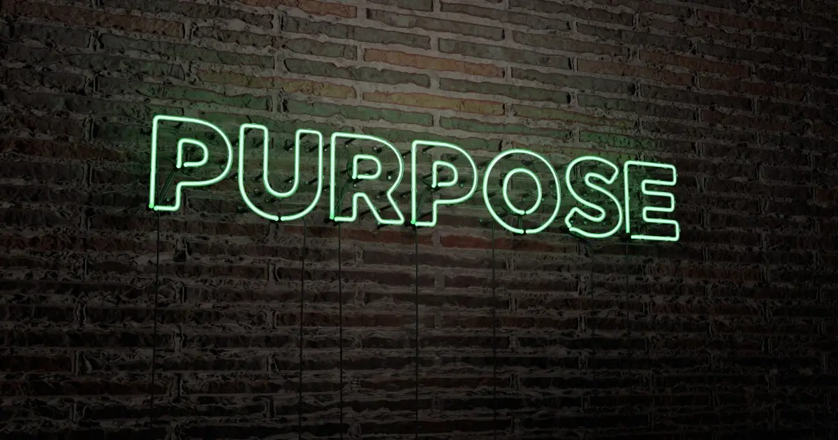 purpose driven marketing - Qué significa marketing orientado a propósitos
