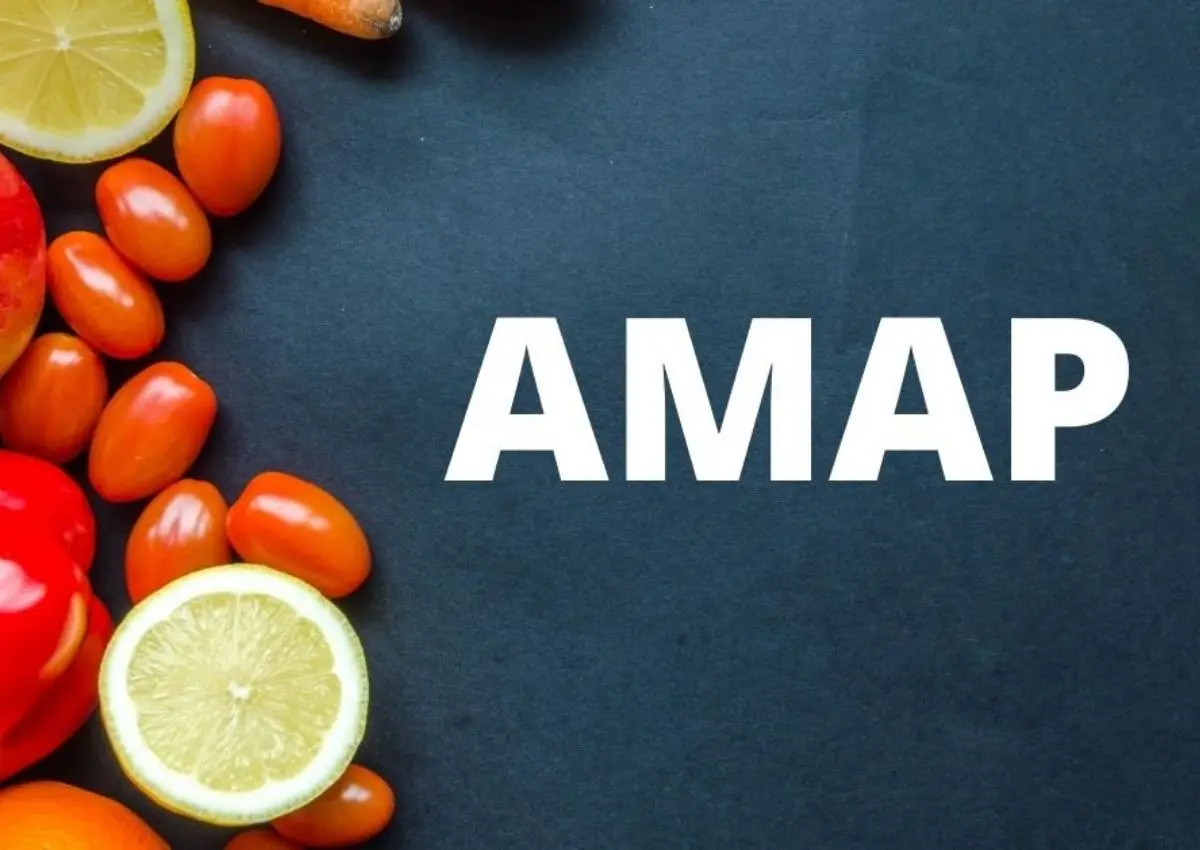 AMAP: La Asociación Mexicana de Agencias de Publicidad y su Impacto en los Anuncios - Qué significan las siglas AMAP anuncios amap - Qué significan las siglas AMAP