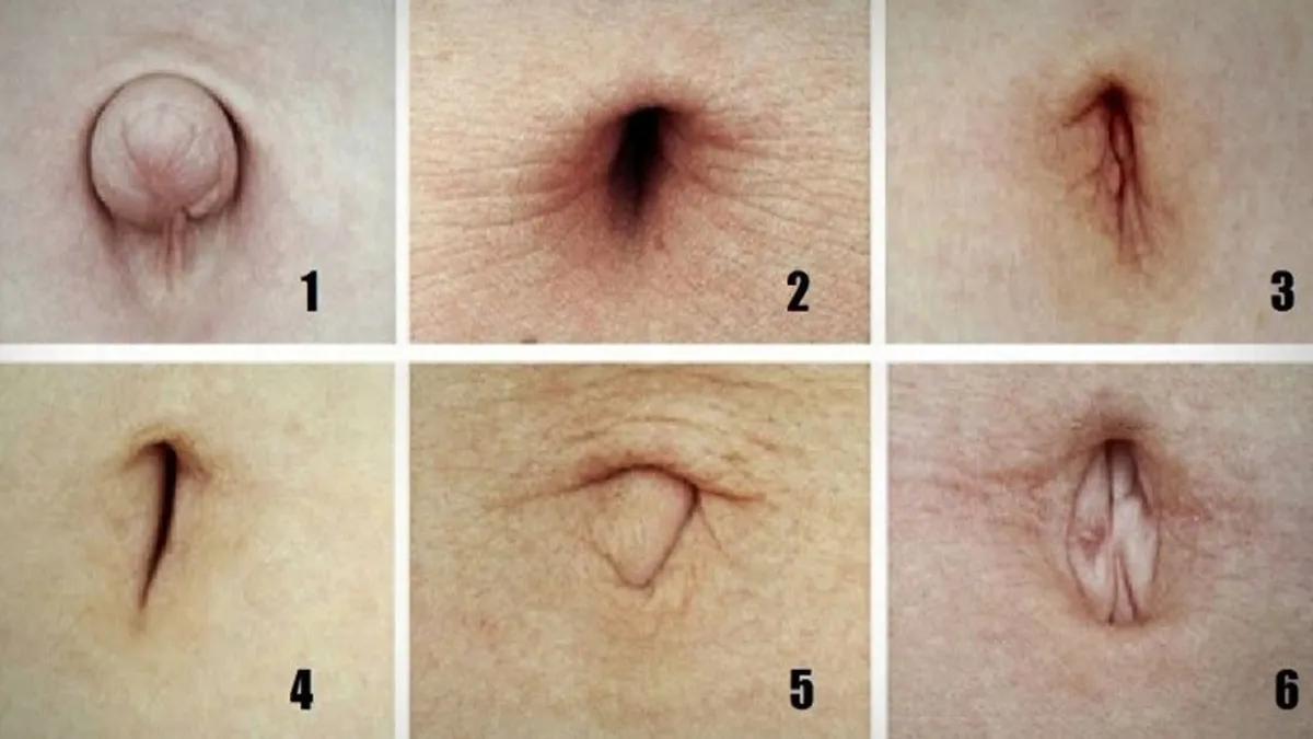 Anuncios de Ombligos: Una Guía Completa de Anatomía, Tipos y Significados - Qué significan los tipos de ombligos anuncios de ombligos - Qué significan los tipos de ombligos