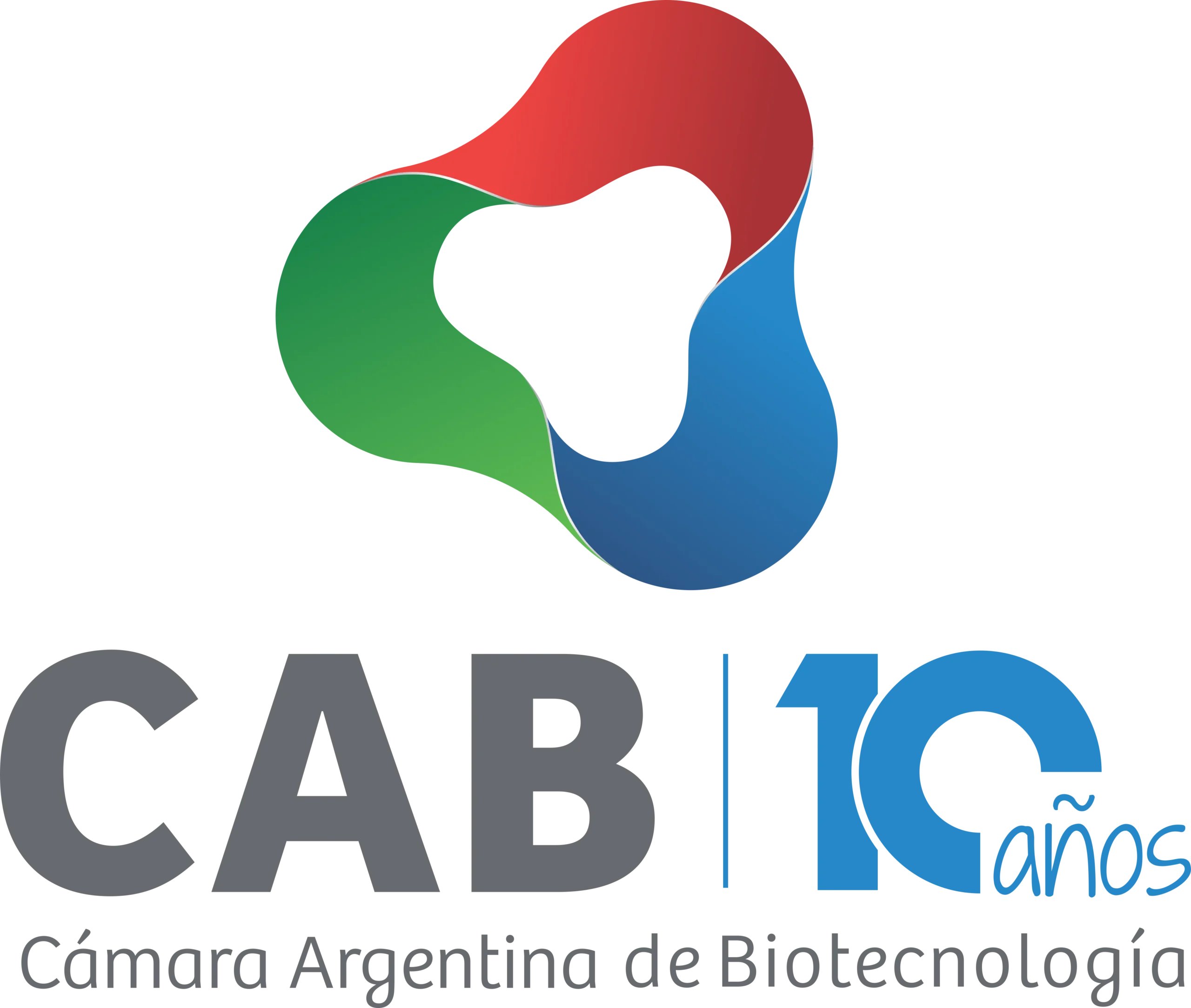 Cámara Argentina de Marketing: Guía completa - Qué son las cámaras de marketing camara argentina de marketing - Qué son las cámaras de marketing