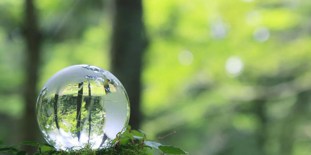 Certificaciones Sustentables en Marketing: Una Guía Completa - Qué son las certificaciones sustentables certificaciones sustentables marketing - Qué son las certificaciones sustentables