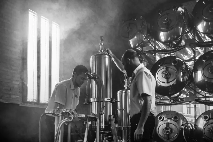 Anuncios Post Cerveza: Guía Definitiva para la Publicidad Cervecera - Qué son los adjuntos de la cerveza anuncios post cerveza - Qué son los adjuntos de la cerveza