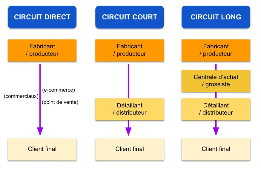 Marketing de Circuitos de Distribución: Una Guía Completa - Qué son los circuitos de distribución marketing circuit de distribution - Qué son los circuitos de distribución