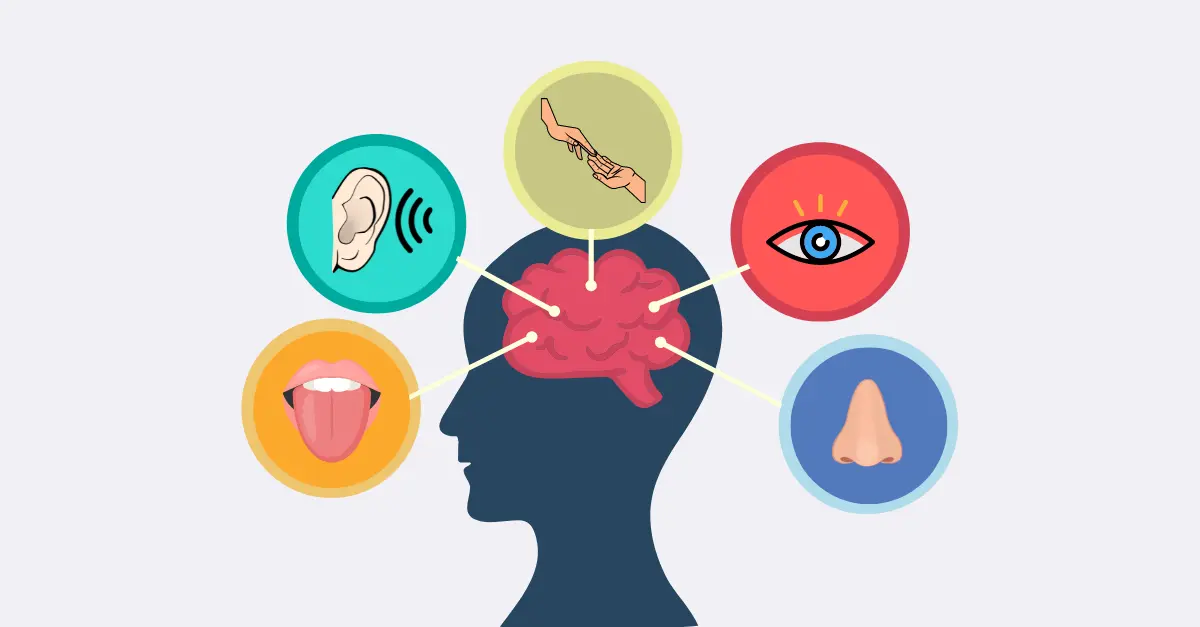 Qué es el Marketing Sensorial: Una Guía Completa - Qué son los productos sensoriales que es el marketing sensorial - Qué son los productos sensoriales