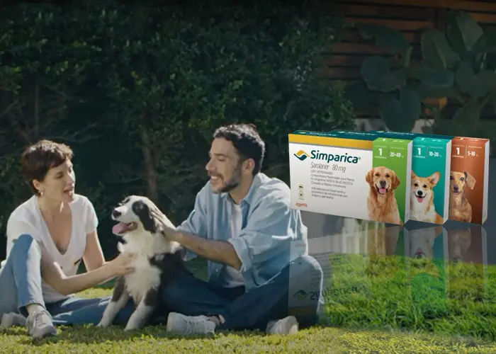 Simparica: La Guía Definitiva para la Protección de tu Perro - Qué tan buena es la pastilla simparica para perros simparica publicidad - Qué tan buena es la pastilla simparica para perros