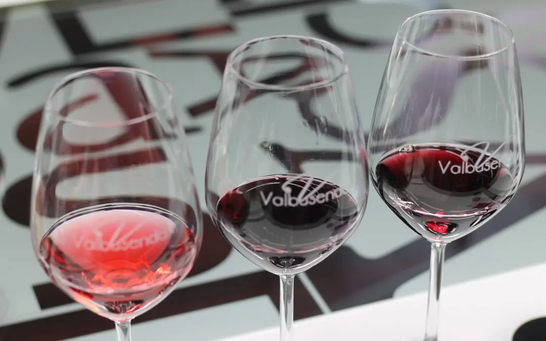 El fascinante mundo del marketing de vinos Toro: una guía completa - Qué tan bueno es el vino Toro area de marketing de vinos toros - Qué tan bueno es el vino Toro