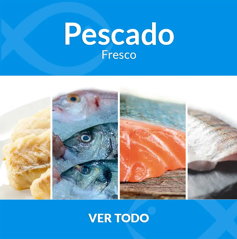 Publicidad de Pescado: Guía para el Éxito en un Mercado Competitivo - Qué tan rentable es vender pescado publicidad de pescado - Qué tan rentable es vender pescado