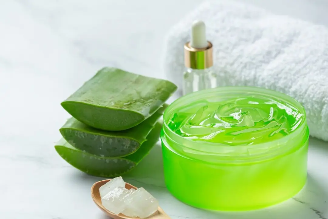 Aloe Vera Marketing: Una Guía Completa para el Éxito - Qué utilidad tiene el aloe vera aloe vera marketing - Qué utilidad tiene el aloe vera