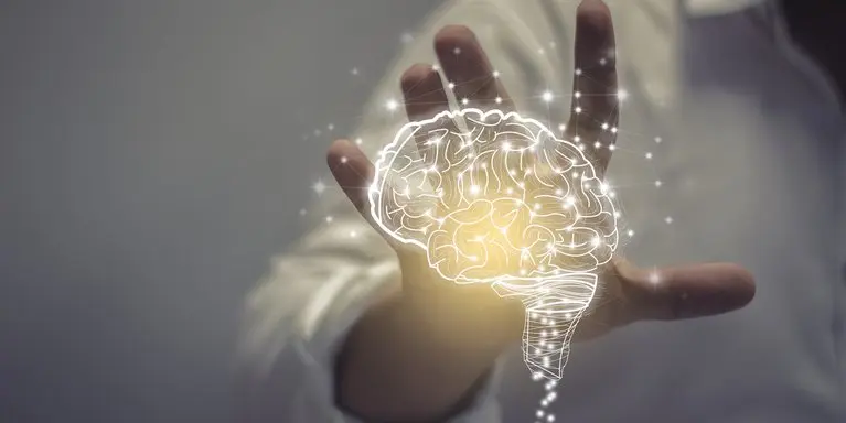 Anuncios Marketing Sensorial: La Clave para Atrapar a tus Clientes - Qué utiliza el marketing sensorial para atraparte anuncios marketing sensorial - Qué utiliza el marketing sensorial para atraparte
