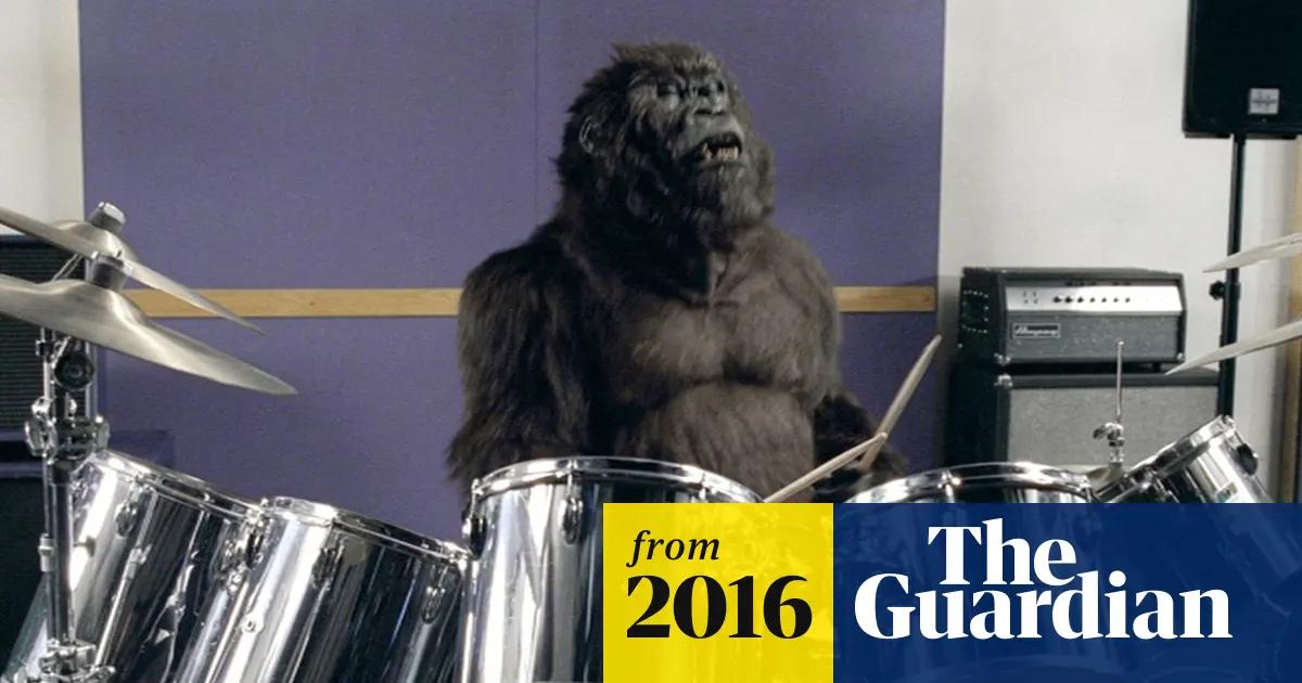 Publicidad Gorila Tocando Batería: Un Análisis Completo del Anuncio Viral de Cadbury - Quién era el baterista en el anuncio de Cadbury publicidad gorila tocando bateria - Quién era el baterista en el anuncio de Cadbury