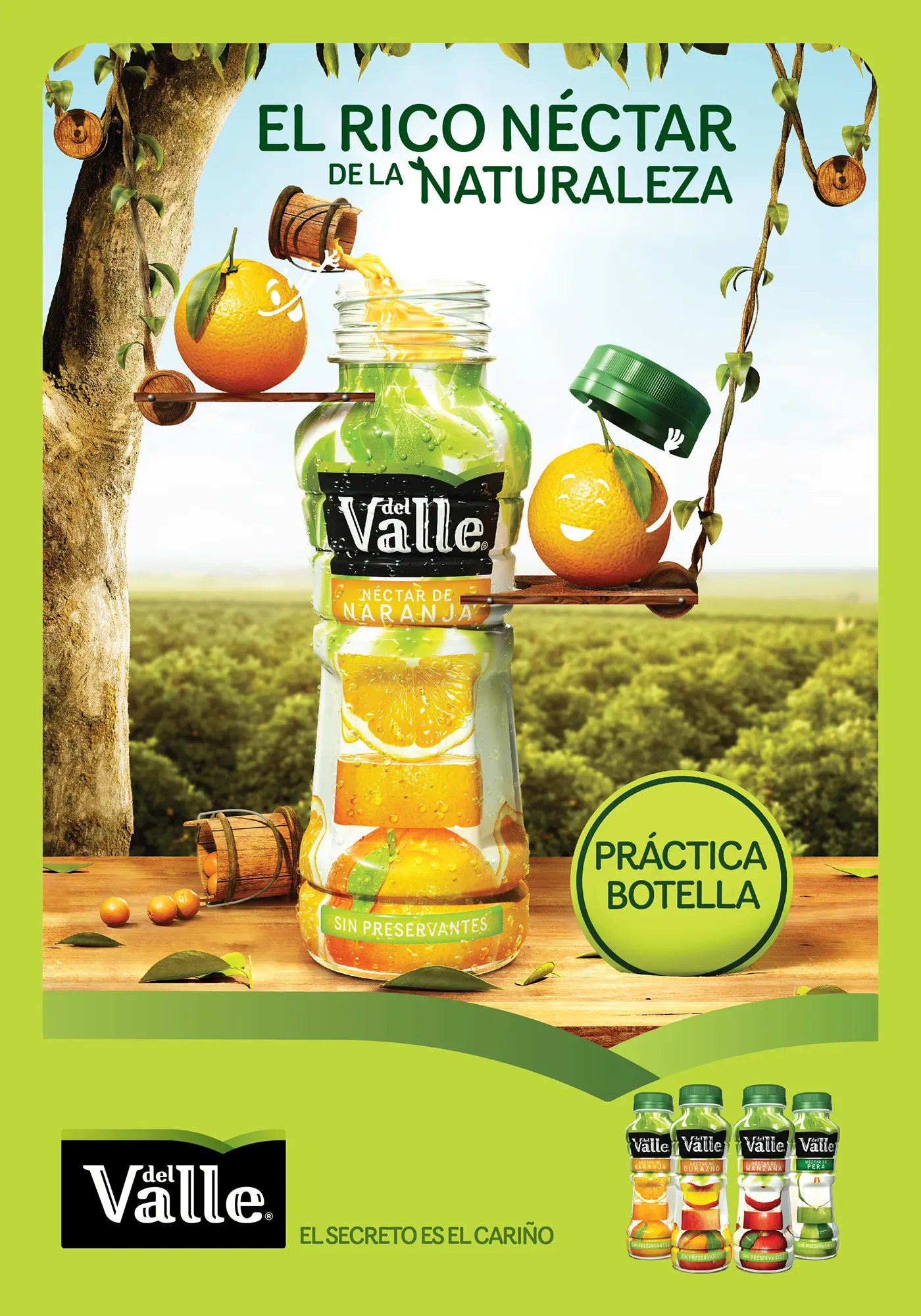Publicidad Jugos del Valle: Historia, Estrategia y Análisis SEO - Quién era el dueño de Jugos del Valle publicidad jugos del valle - Quién era el dueño de Jugos del Valle