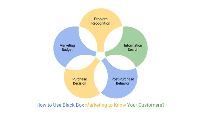 Black Box Marketing: Descifrando el Misterio - Quién es el dueño de Black Box black box marketing - Quién es el dueño de Black Box