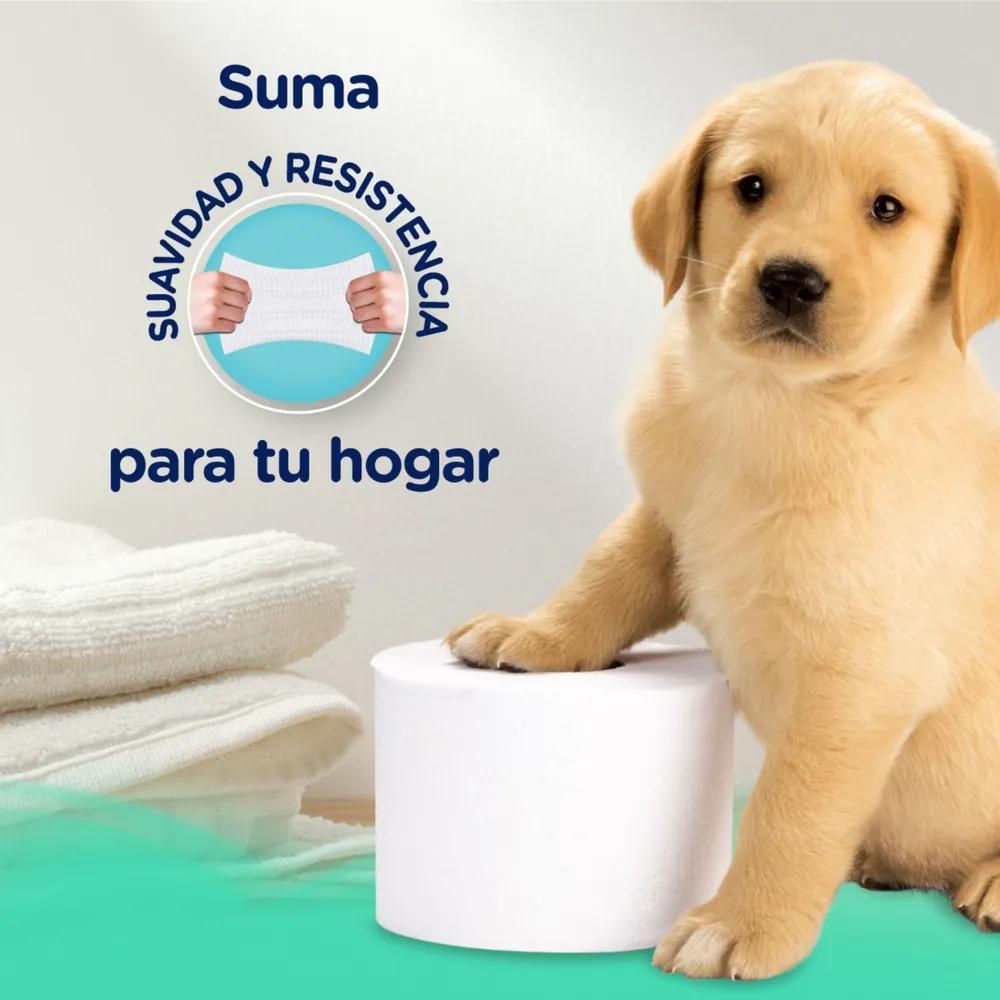 Publicidad de Papel Higiénico Scott: Historia, Estrategias y Éxito - Quién fabrica papel higiénico Scott publicidad de papel higienico scott - Quién fabrica papel higiénico Scott