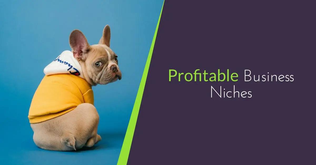 best niche affiliate marketing - What are the most profitable niches