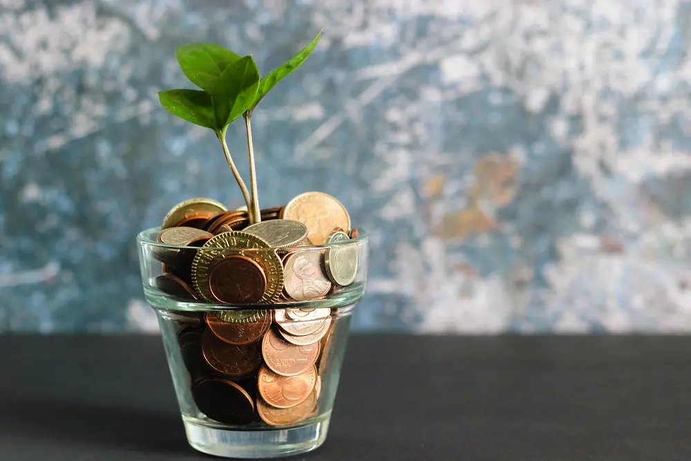 Marketing Rentable: Cómo Optimizar tus Recursos y Maximizar tus Resultados - What is a cost-effective technique cost effective marketing - What is a cost-effective technique