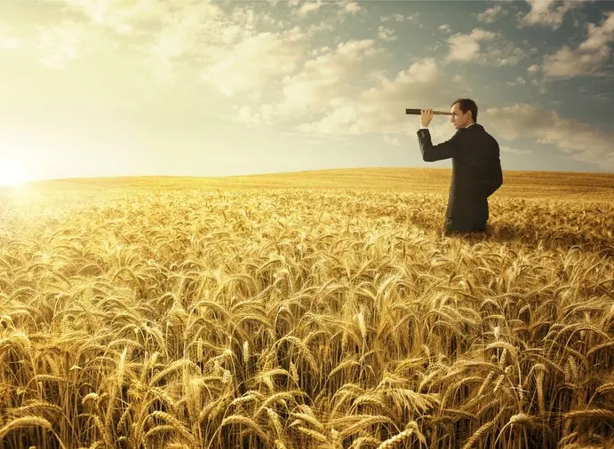 Investigación de Campo en Marketing: Guía Completa - What is a field study in marketing field research marketing - What is a field study in marketing
