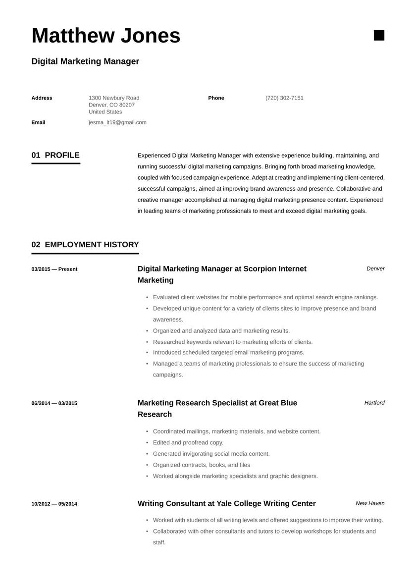Resumen para Marketing Digital: Guía Completa para tu Currículum - What is a personal summary for digital marketing digital marketing summary - What is a personal summary for digital marketing