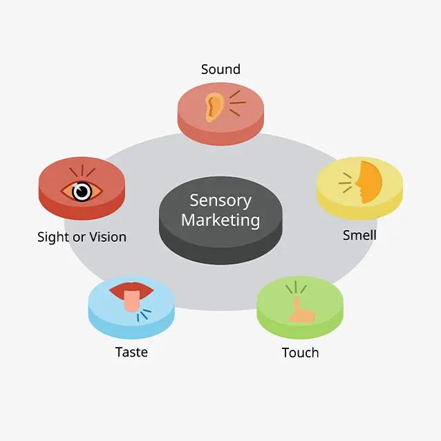 Marketing Sensorial: Guía Completa para el Éxito - What is an example of sense marketing what is sensory marketing - What is an example of sense marketing