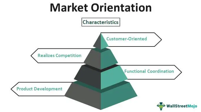 Orientación al Marketing: Concepto, Importancia y Aplicación - What is concept orientation what is marketing orientation concept - What is concept orientation