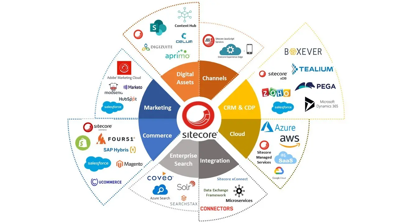 Sitecore Marketing Tools: Una Guía Completa - What is Sitecore marketing automation sitecore marketing tools - What is Sitecore marketing automation