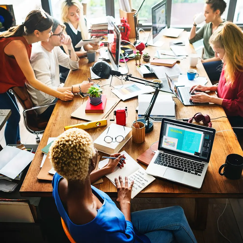 Marketing en la UNC Chapel Hill: Una Guía Completa para Estudiantes - What is the most popular major at UNC unc marketing major - What is the most popular major at UNC