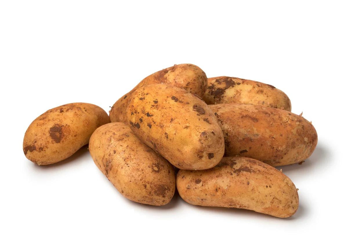 Papas de Chipre: Una Guía Completa para el Consumidor - What is the season for Cyprus potatoes cyprus potato marketing board - What is the season for Cyprus potatoes