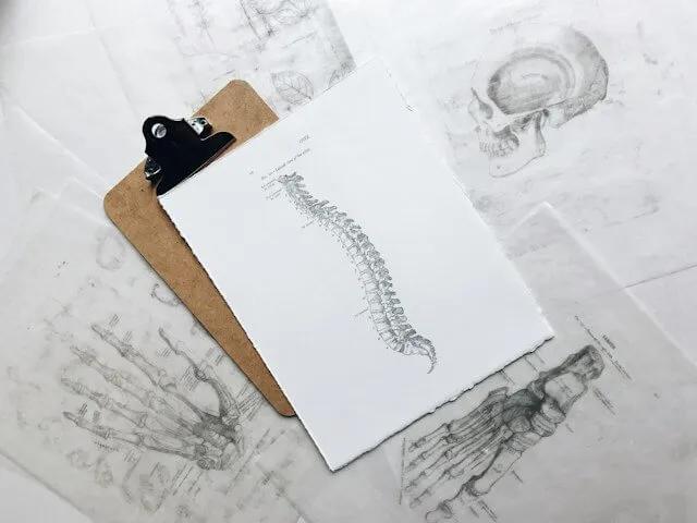 <b>Estrategias de Marketing para Clínicas Quiroprácticas: Atrae Más Pacientes</b> - What is the target market for chiropractic chiropractic marketing companies - What is the target market for chiropractic