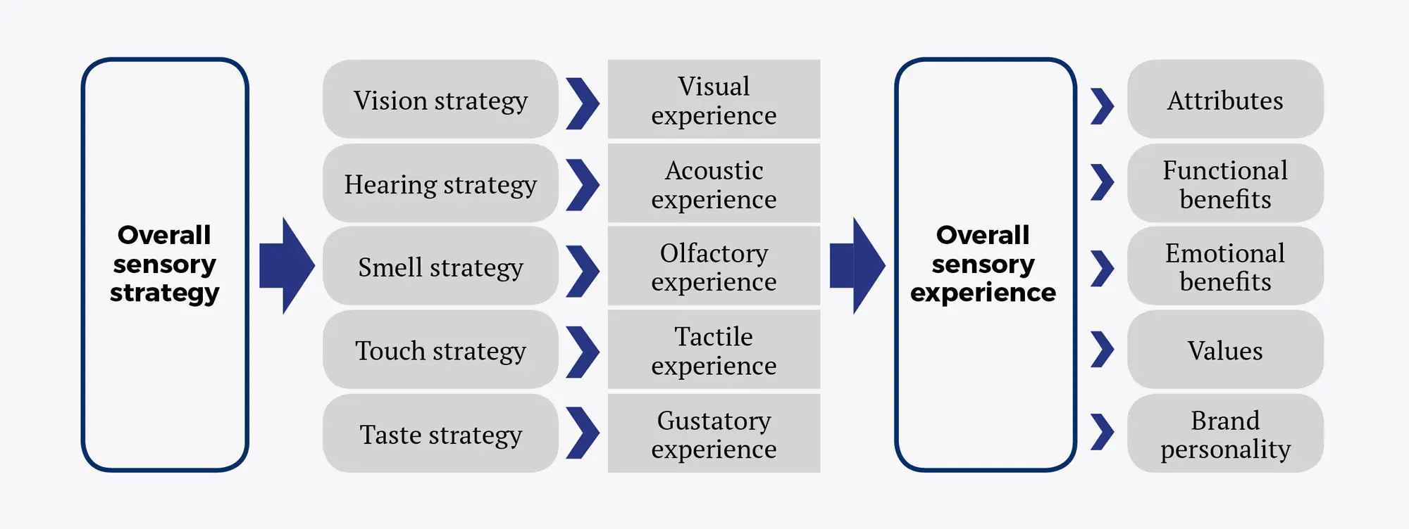 Marketing Sensorial: Guía Completa para el Éxito - What is the theory of sensory marketing what is sensory marketing - What is the theory of sensory marketing