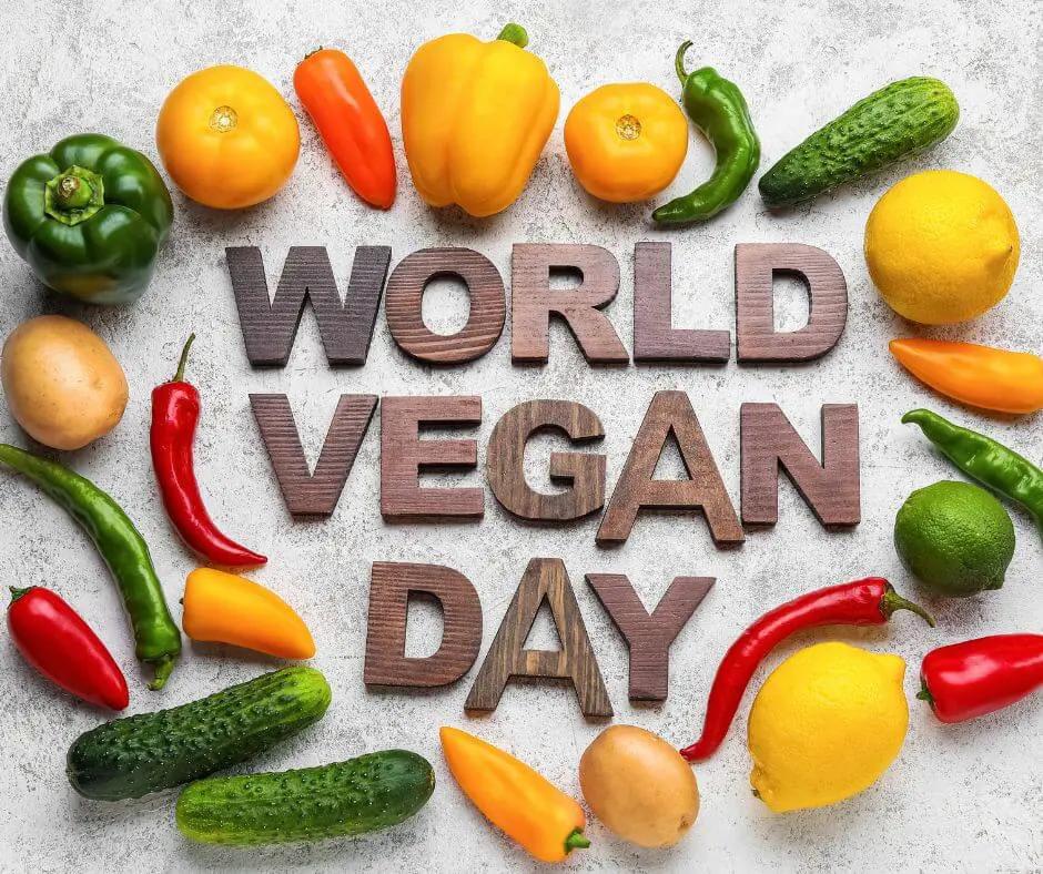 Marketing de Productos Plant-Based: Una Guía Completa para el Éxito - What is vegan marketing examples plant based marketing - What is vegan marketing examples