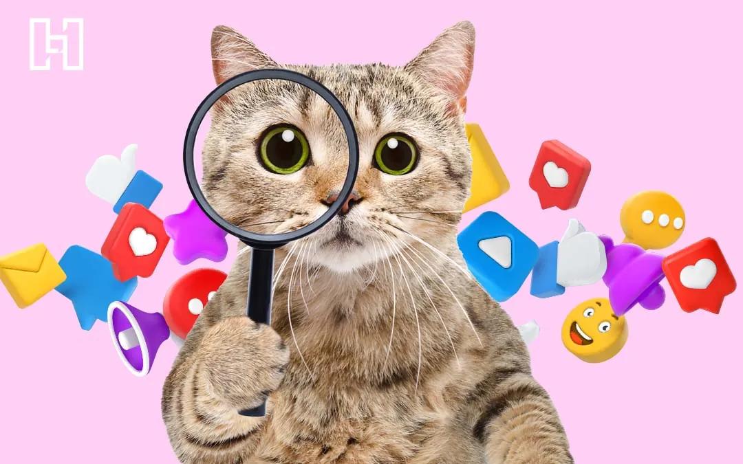 Métricas en el Marketing de Redes Sociales: La Clave para el Éxito - Which is key measurement for social media marketing metrics in social media marketing - Which is key measurement for social media marketing