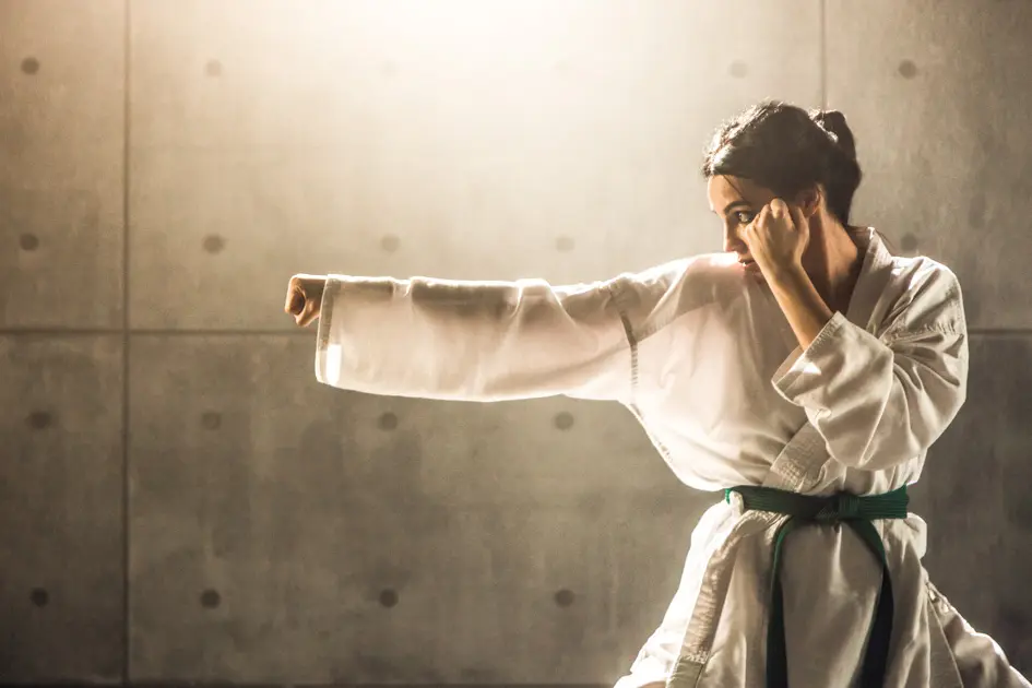 Marketing para Escuelas de Artes Marciales: La Guía Definitiva para 2024 - Who is the target audience for martial arts marketing for martial arts schools - Who is the target audience for martial arts
