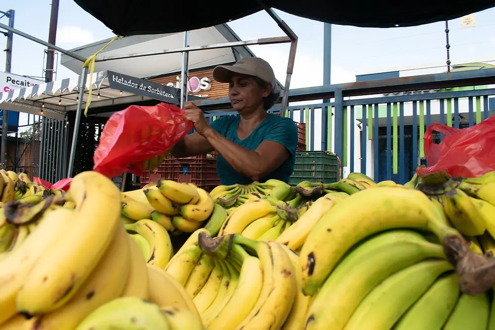 Marketing para Agricultores: Una Guía Completa para el Éxito - Why market is important for farmers marketing for farmers - Why market is important for farmers